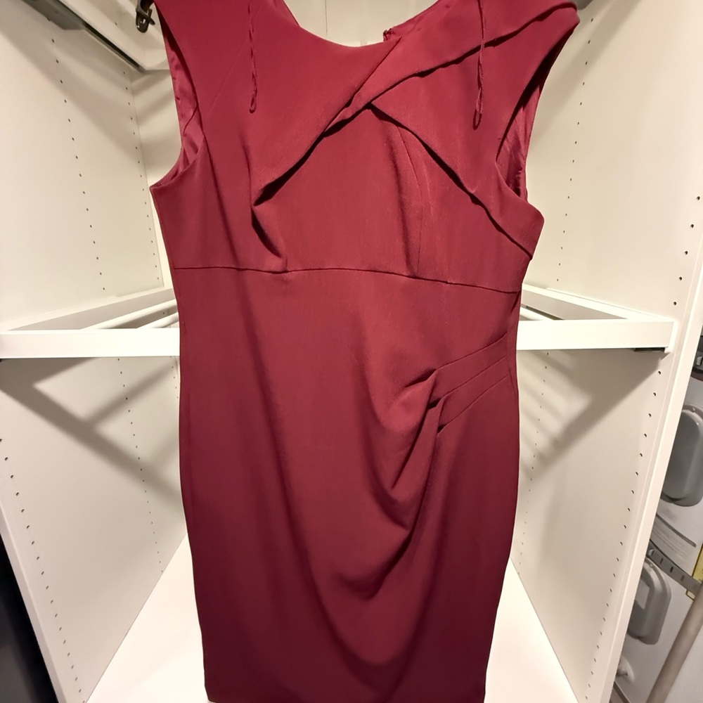 Adrianna Papell Asymmetrical Wine Dress